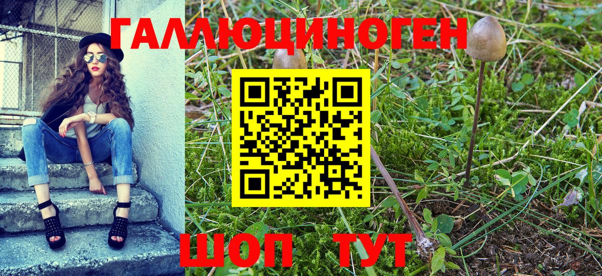 Псилоцибиновые грибы мухоморы Нижневартовск