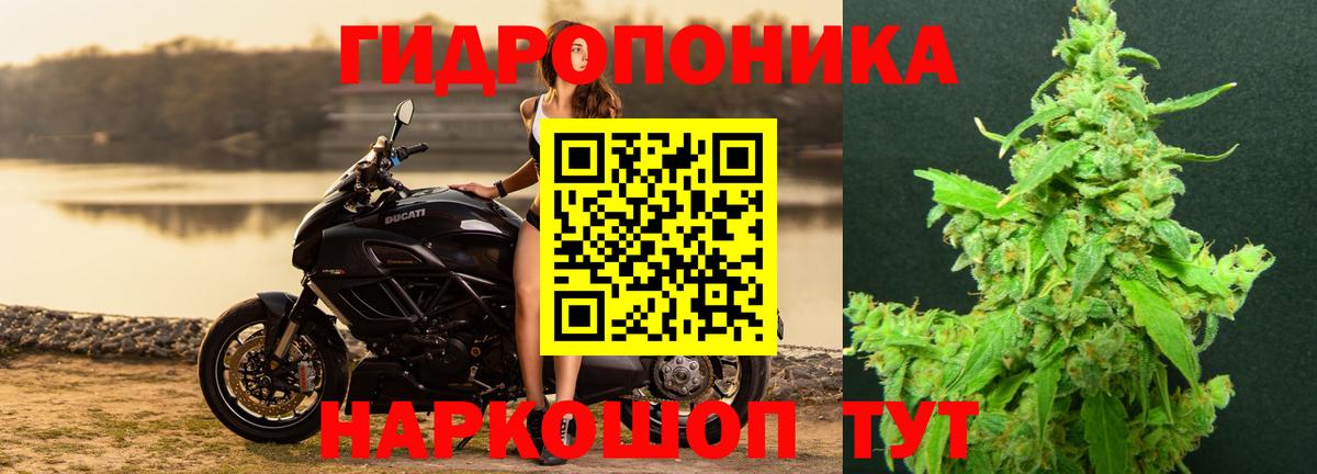 Конопля VHQ  Вход с VPN  Нижневартовск  Марихуана семена  Конопля план 